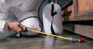 Pest control technician spraying area